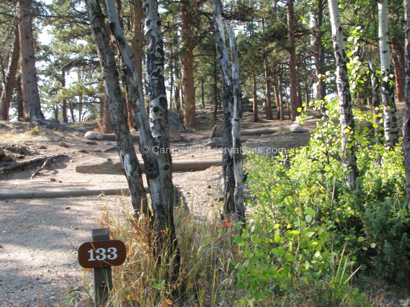 Campsite 133 in Moraine Park Campground at Rocky Mountain National Park